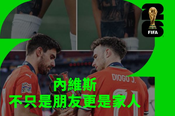 內維斯
